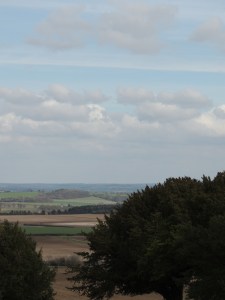 View from Danebury