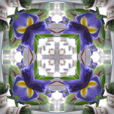 imageedit_10_9085764467