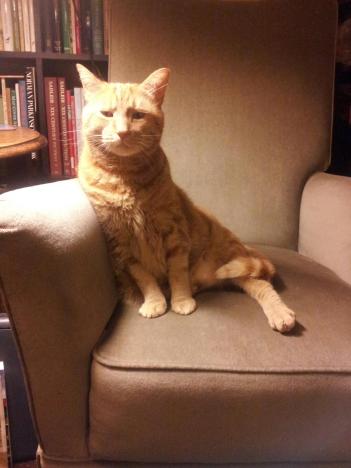 When you notice a cat in profound meditation, The reason, I tell you, is always the same: His mind is engaged in a rapt contemplation Of the thought, of the thought, of the thought of his name: His ineffable effable Effanineffable Deep and inscrutable singular Name.