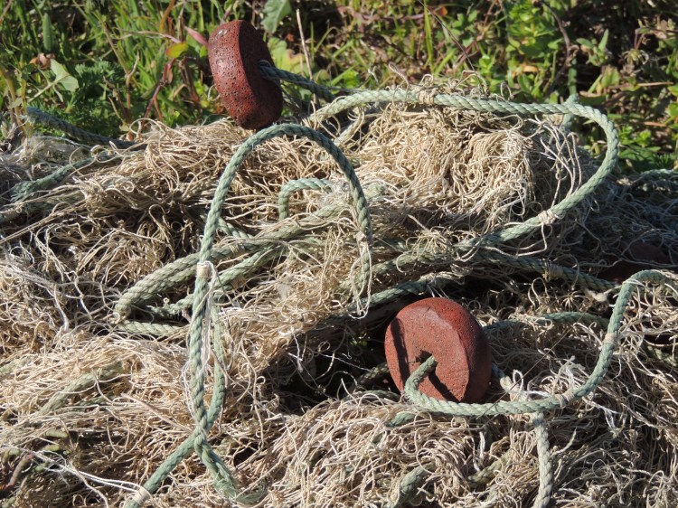 Tangled washed up fishing net