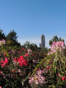 Cathedral of Learning, Pittsburgh