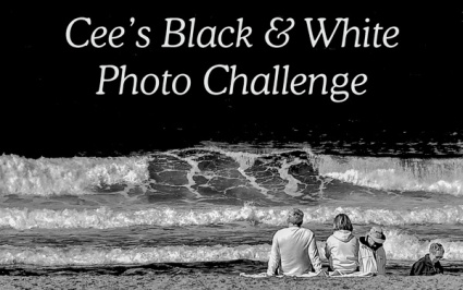 Cee's Black and White Photo Challenge