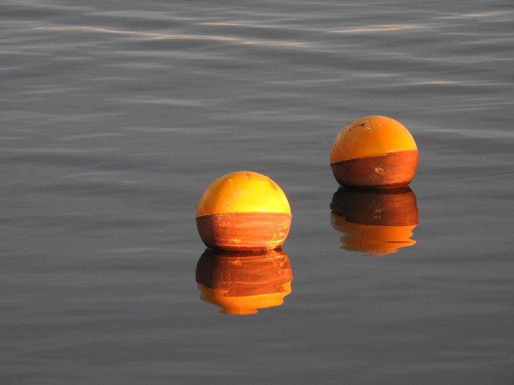 Buoys in Olhão marina