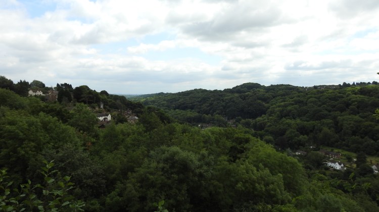 View from the Rotunda