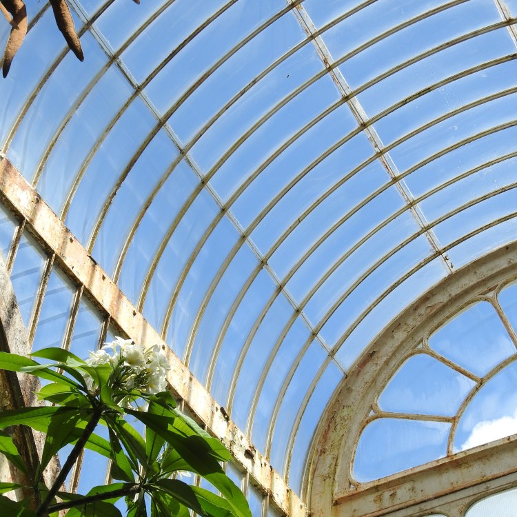 Surrounded by glass and steel