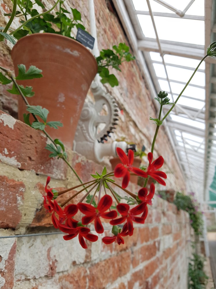 Stourhead Greenhouse