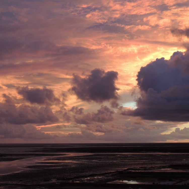 Ria Formosa at Sunset in November