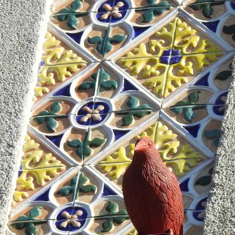 Porto Pigeon