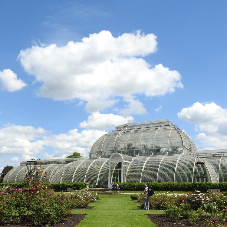 Kew Glasshouse