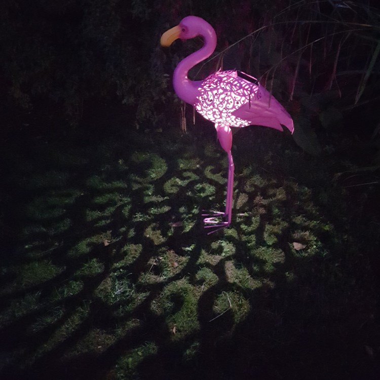 Pink Flamingo