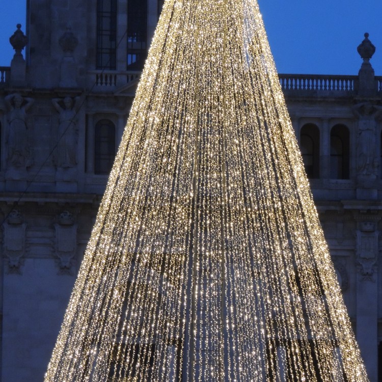 Porto's Christmas Tree