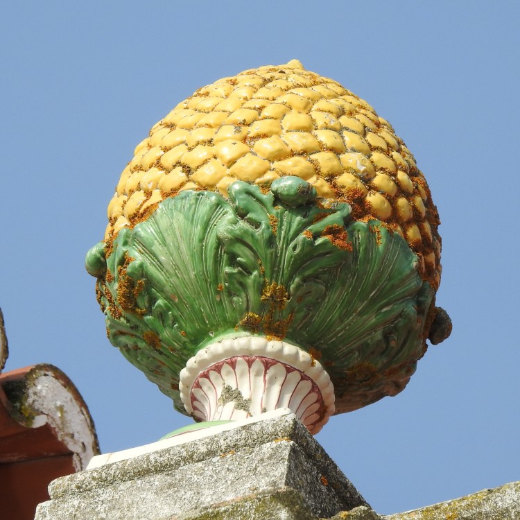 Pineapple on a roof