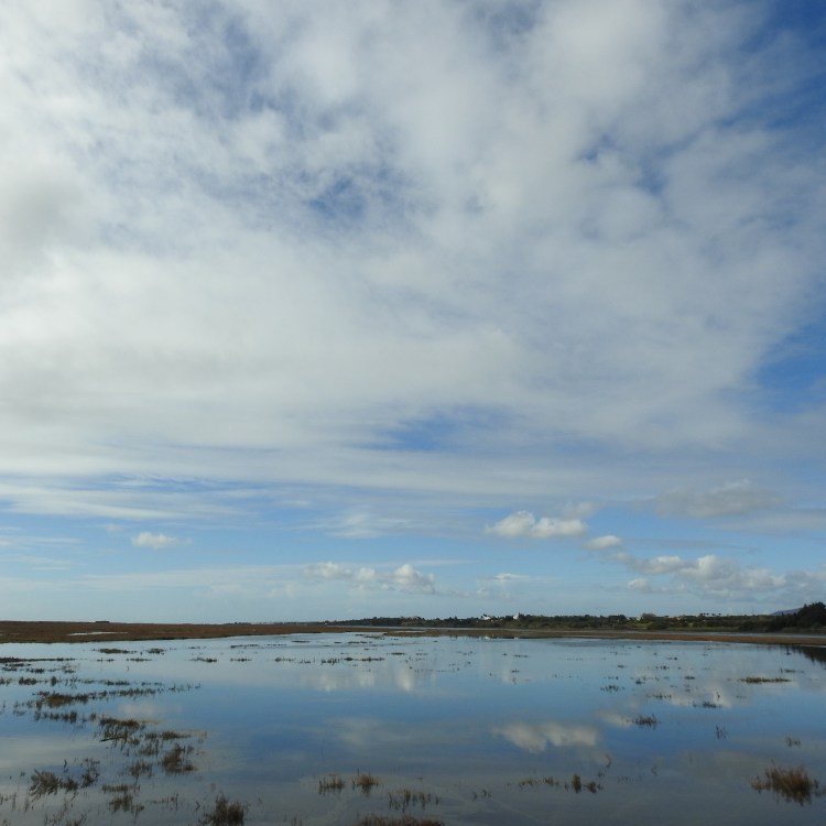 Into the blue yonder