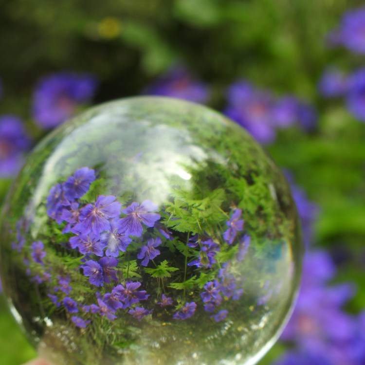 In the garden with a lensball