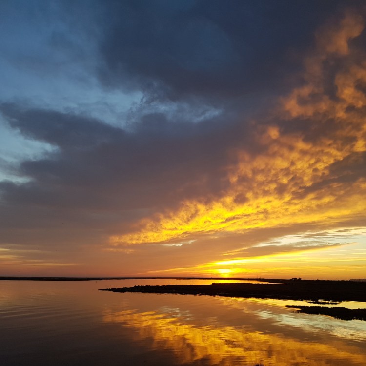 Sunset in the Ria Formosa