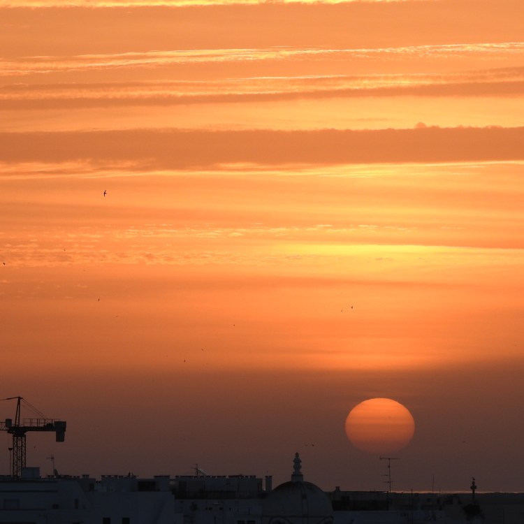 Lines and Squares reject