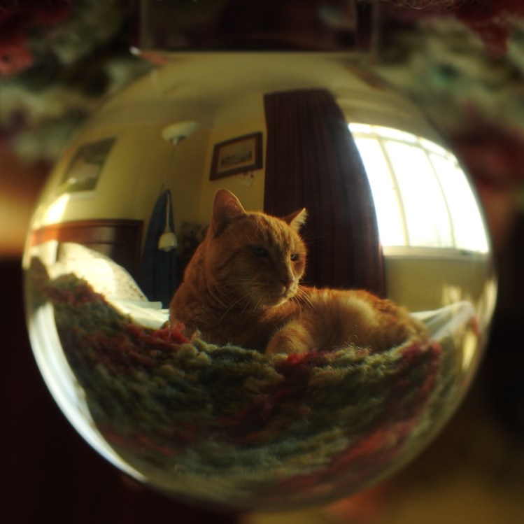 DSCN9490 - Edited (1)