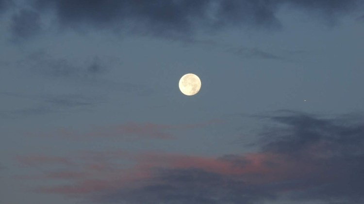 25 moonlight header 2