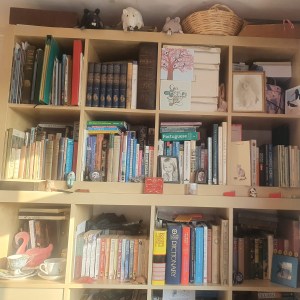 Study Shelves