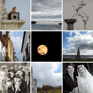 Square Tops Squares (1)