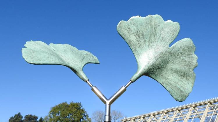 Something of the&nbsp;Kind