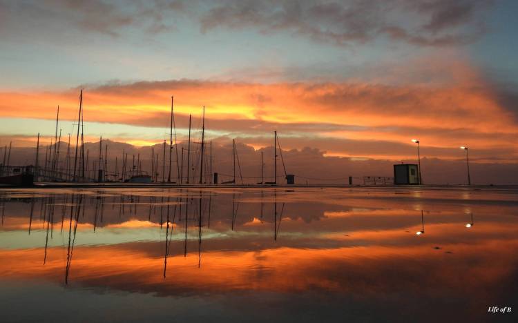 Past and Present&nbsp;Perspectives