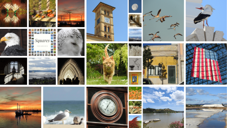 Squares, Squares Everywhere