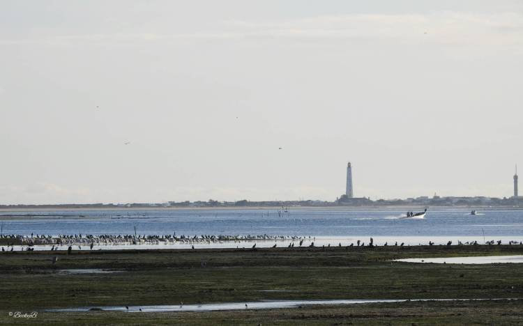 Hop on board with&nbsp;me