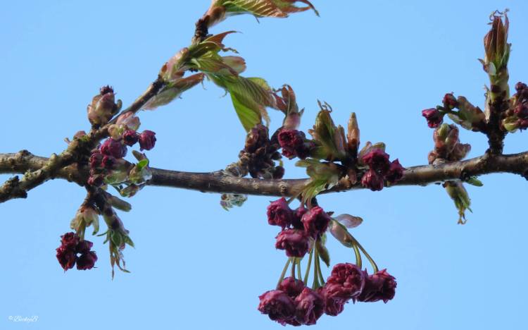 It is time for a multitude of&nbsp;squares