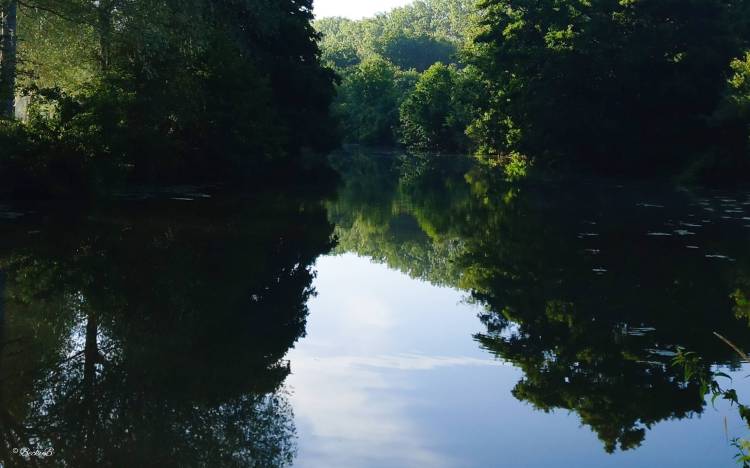 Shortly after 7 in&nbsp;July