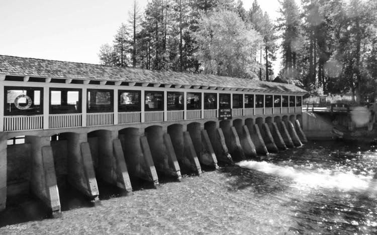 The Geometers’ Gallery