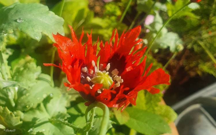 It’s time to explore a Red&nbsp;Gallery