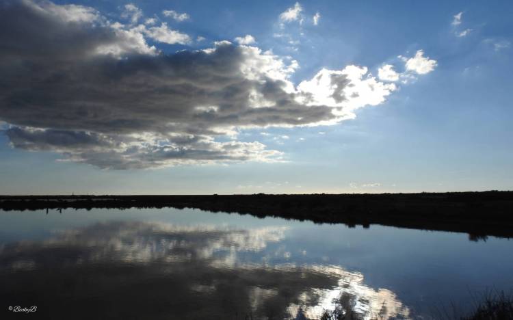 Four Days of&nbsp;Shadows