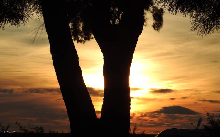 The Sun is almost setting on&nbsp;Squares