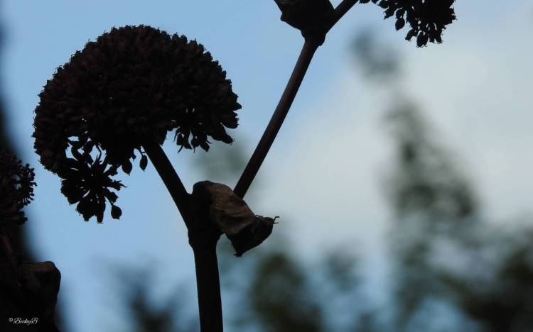 Discovering works of art in the&nbsp;shadows